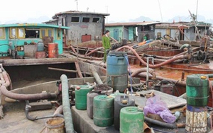 Xử phạt 312 triệu đồng các đối tượng 'rút ruột' thắng cảnh Vịnh Hạ Long